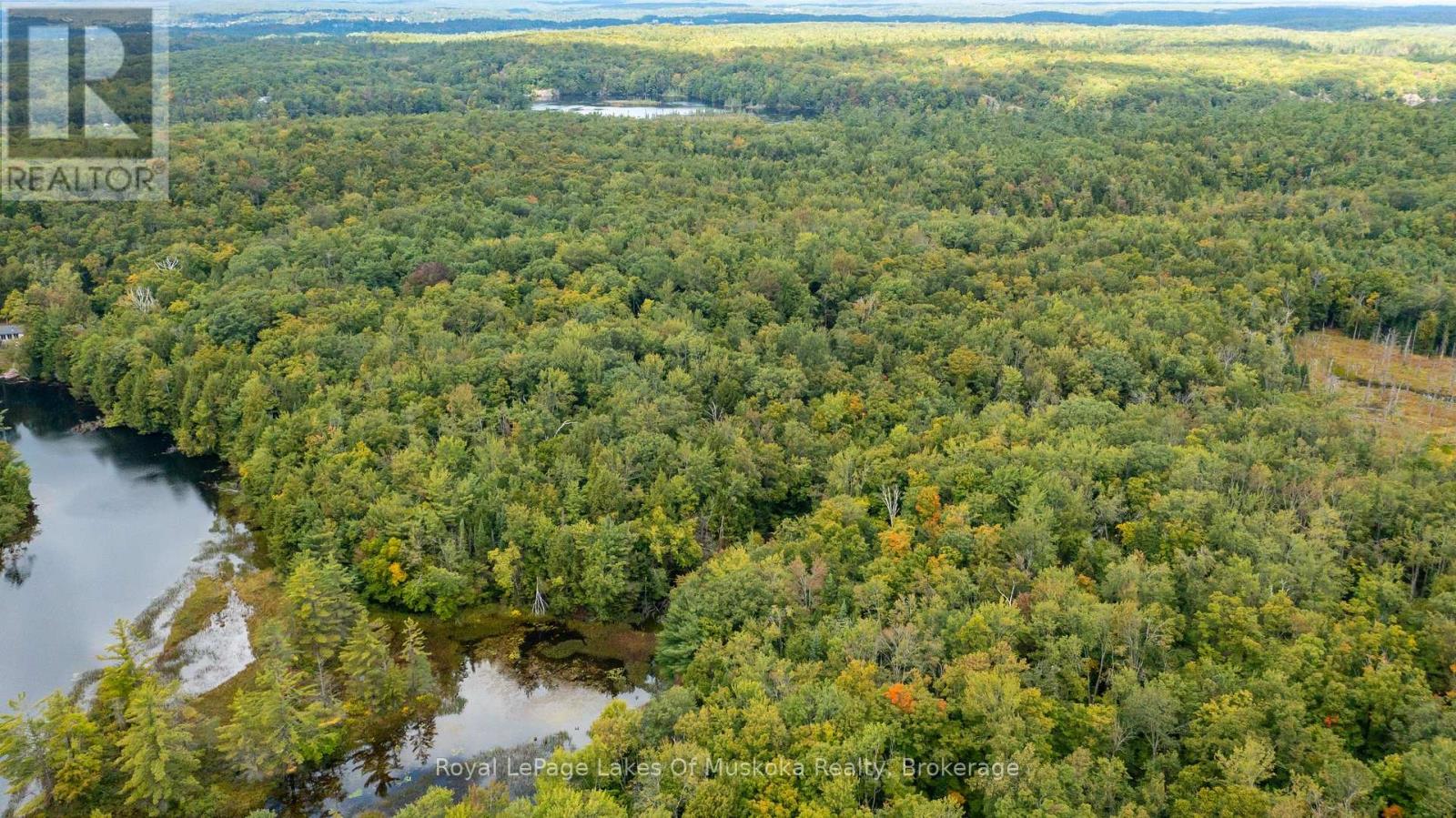 0 Muskoka River, Bracebridge, Ontario P1L 0K3 - Photo 11 - X12918192