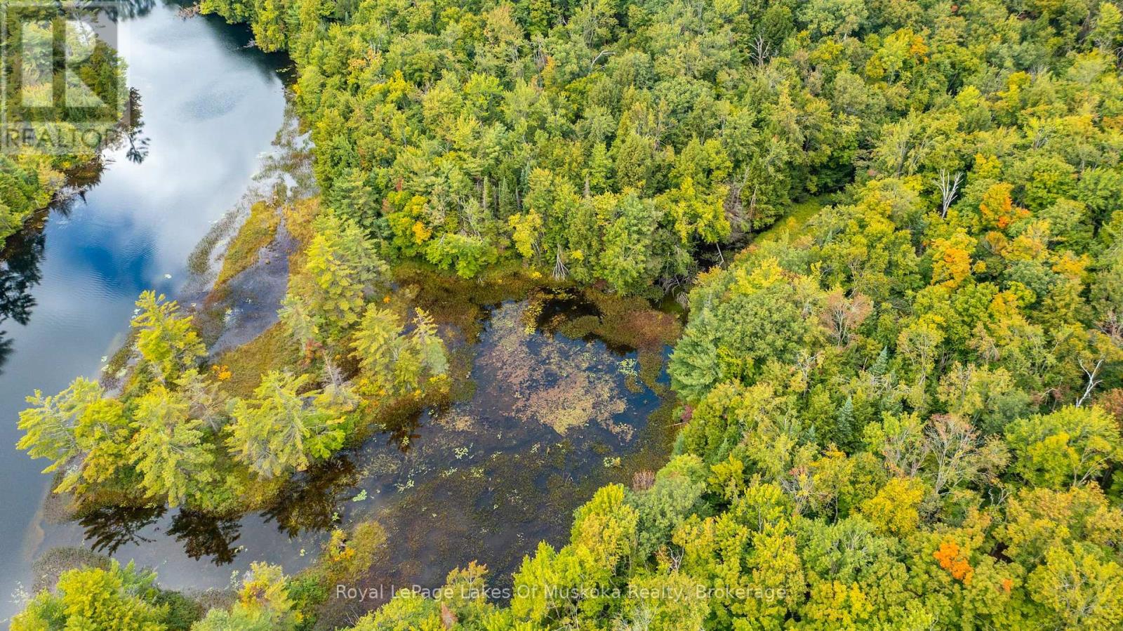 0 Muskoka River, Bracebridge, Ontario P1L 0K3 - Photo 12 - X12918192