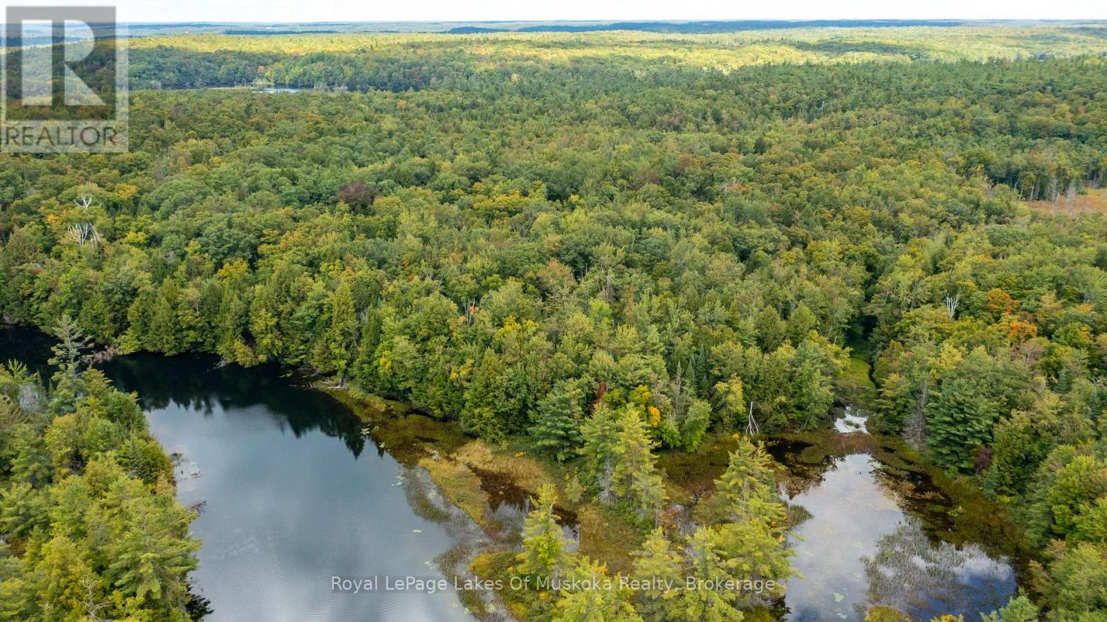 0 Muskoka River, Bracebridge, Ontario P1L 0K3 - Photo 13 - X12918192