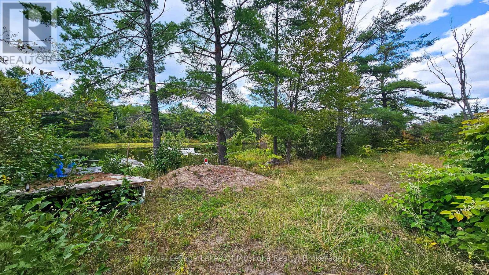 0 Muskoka River, Bracebridge, Ontario P1L 0K3 - Photo 15 - X12918192