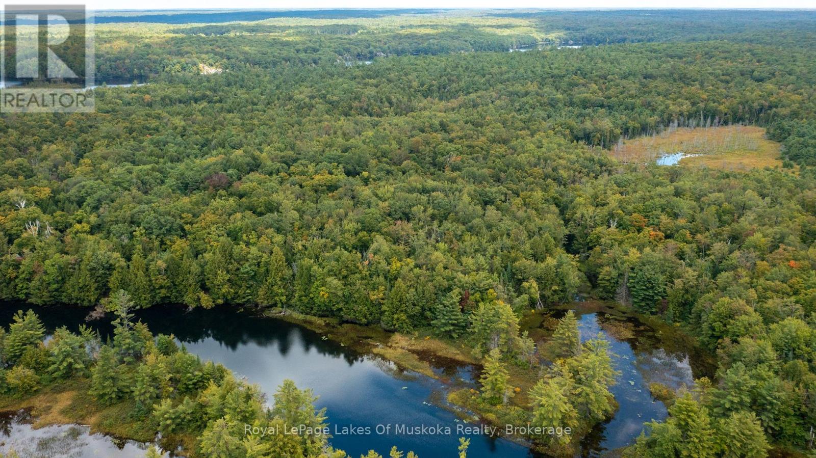 0 Muskoka River, Bracebridge, Ontario P1L 0K3 - Photo 3 - X12918192