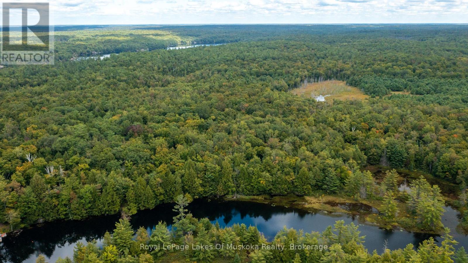 0 Muskoka River, Bracebridge, Ontario P1L 0K3 - Photo 4 - X12918192