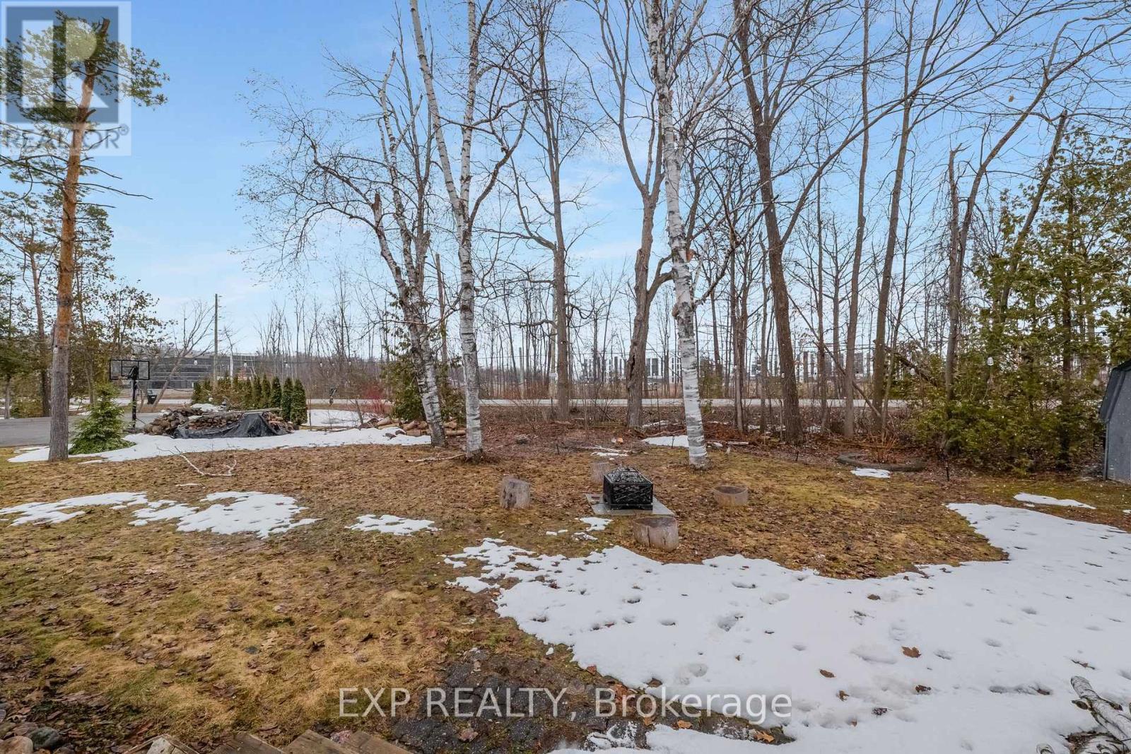 3909 Richview Road, Innisfil, Ontario L9S 2L7 - Photo 38 - N12918180