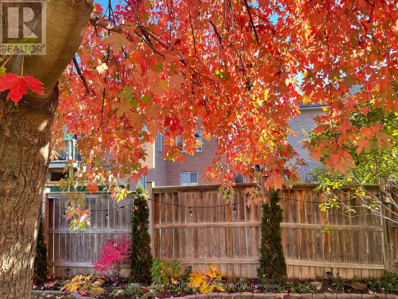 33 Booth Street, Bradford West Gwillimbury, Ontario  L3Z 0A4 - Photo 35 - N12918428