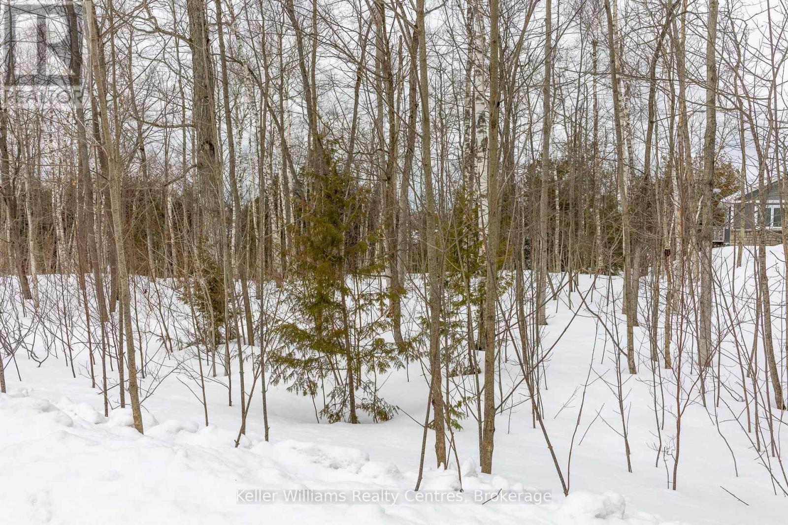 270 Tammy's Cove Road, Northern Bruce Peninsula, Ontario  N0H 1W0 - Photo 14 - X12908152