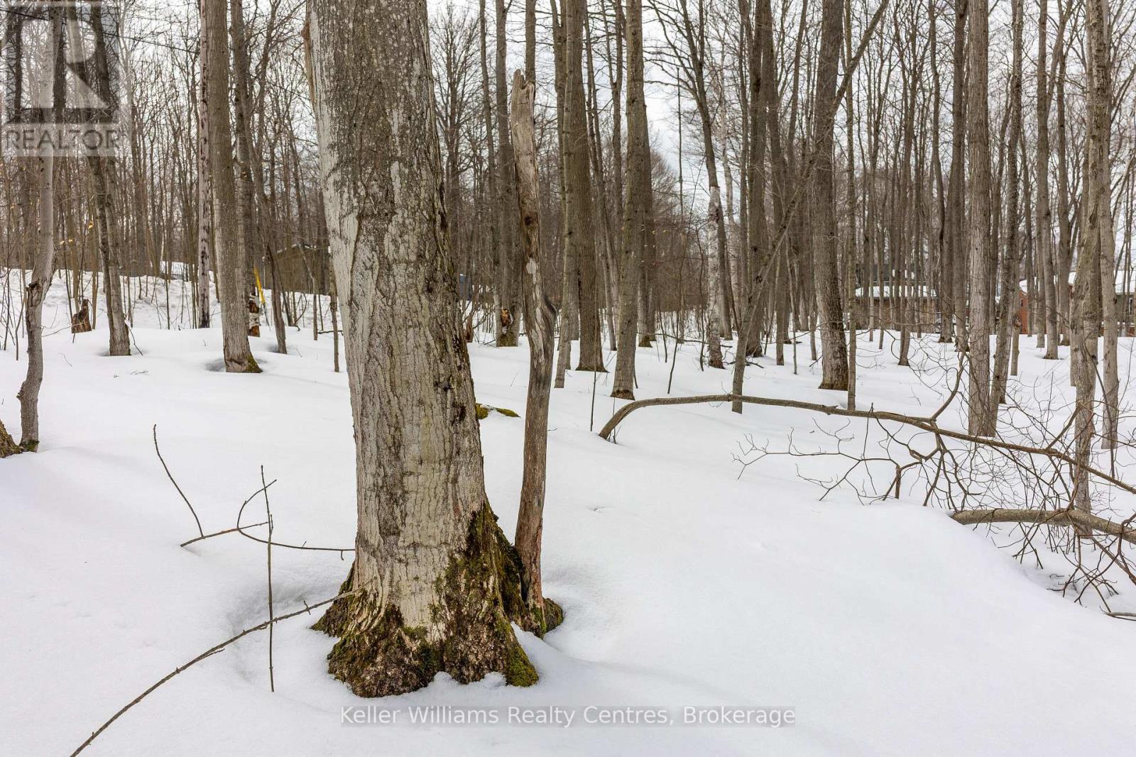 268 Tammy's Cove Road, Northern Bruce Peninsula, Ontario  N0H 1W0 - Photo 16 - X12908156