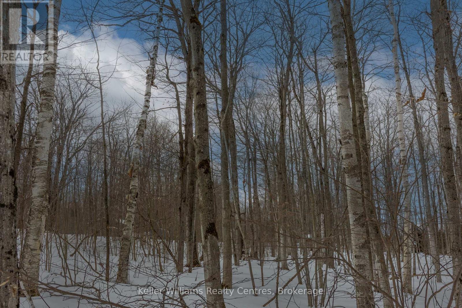 270 Tammy's Cove Road, Northern Bruce Peninsula, Ontario  N0H 1W0 - Photo 20 - X12908152