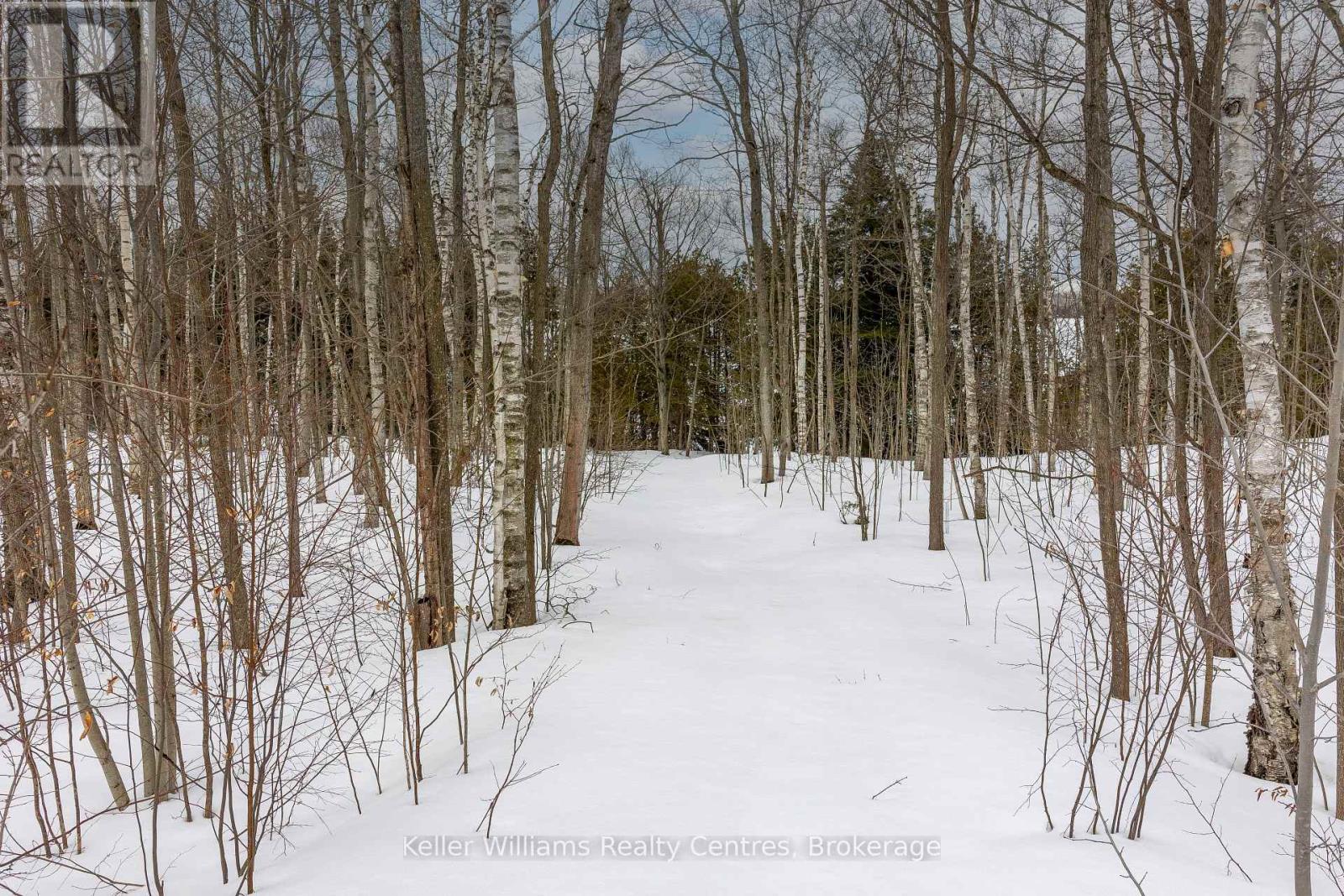 266 Tammy's Cove Road, Northern Bruce Peninsula, Ontario  N0H 1W0 - Photo 17 - X12908160