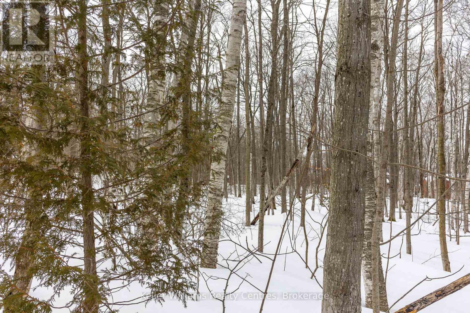 268 Tammy's Cove Road, Northern Bruce Peninsula, Ontario  N0H 1W0 - Photo 17 - X12908156