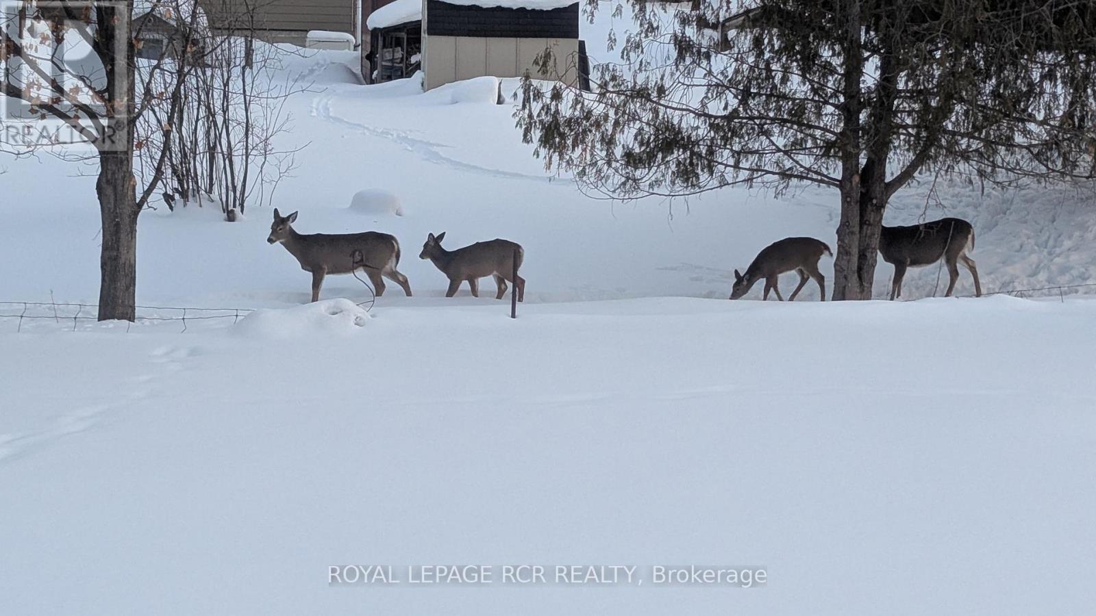 18 Westvale Drive, Bracebridge, Ontario  P1L 1B5 - Photo 30 - X12918318