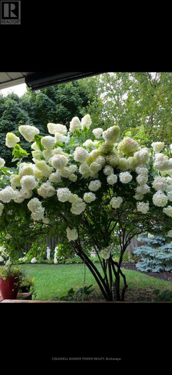 103 Tynedale Avenue, London North, Ontario  N6H 5P7 - Photo 41 - X12918580