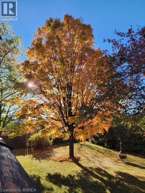 35 Rose Court, Paris, Ontario  N3L 3T9 - Photo 27 - 40814874