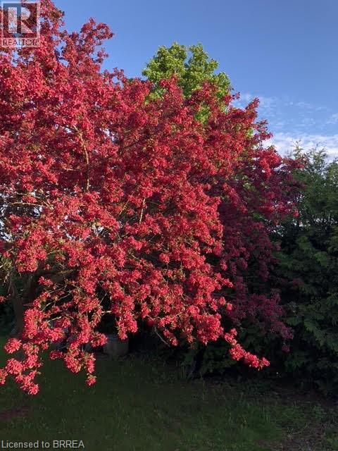 35 Rose Court, Paris, Ontario  N3L 3T9 - Photo 28 - 40814874