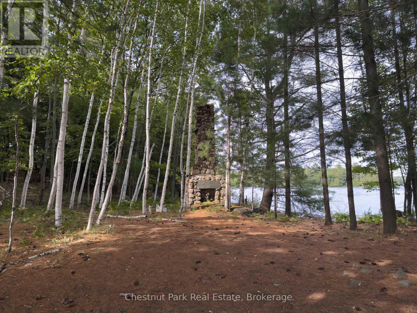 32 Bigwin Island, Lake Of Bays, Ontario  P0B 1A0 - Photo 19 - X12918672