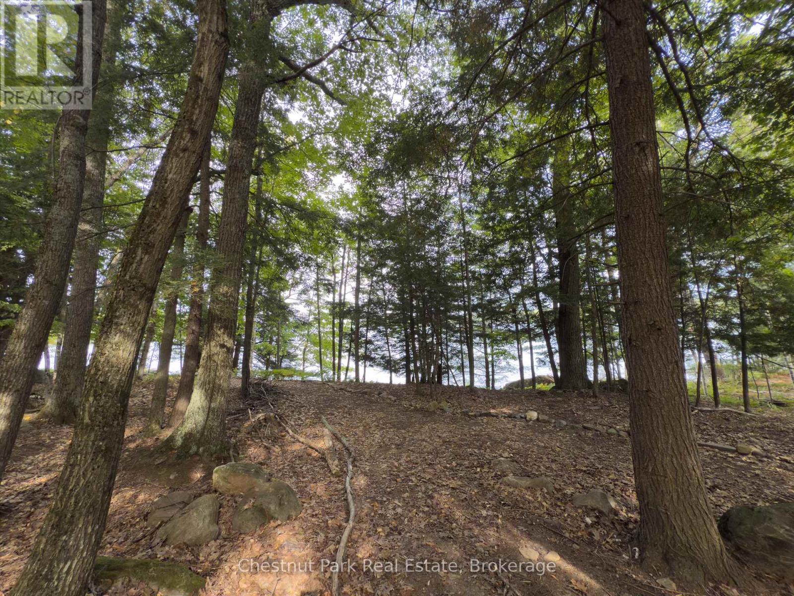 32 Bigwin Island, Lake Of Bays, Ontario  P0B 1A0 - Photo 21 - X12918672