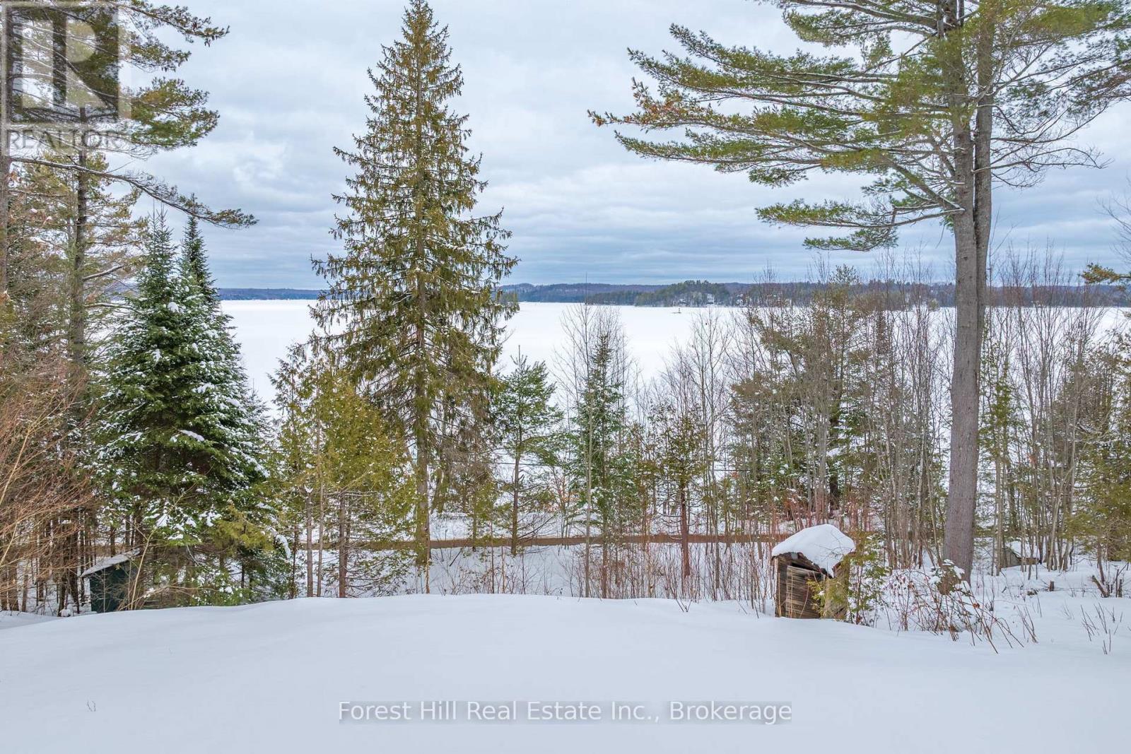 1101 Glenmount Road, Lake Of Bays, Ontario  P0B 1A0 - Photo 9 - X12918718