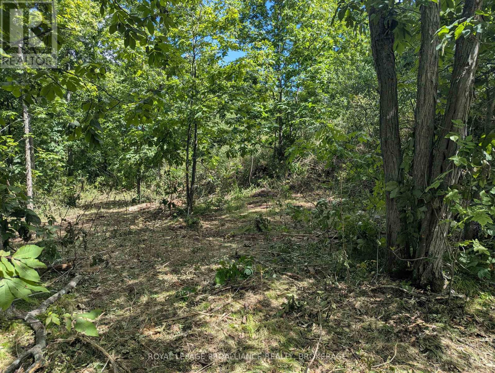 2621 4th Concession Road, Kingston, Ontario  K0H 1Y0 - Photo 8 - X12916774