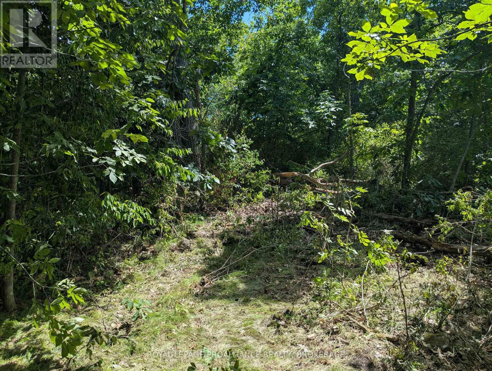 2621 4th Concession Road, Kingston, Ontario  K0H 1Y0 - Photo 7 - X12916774