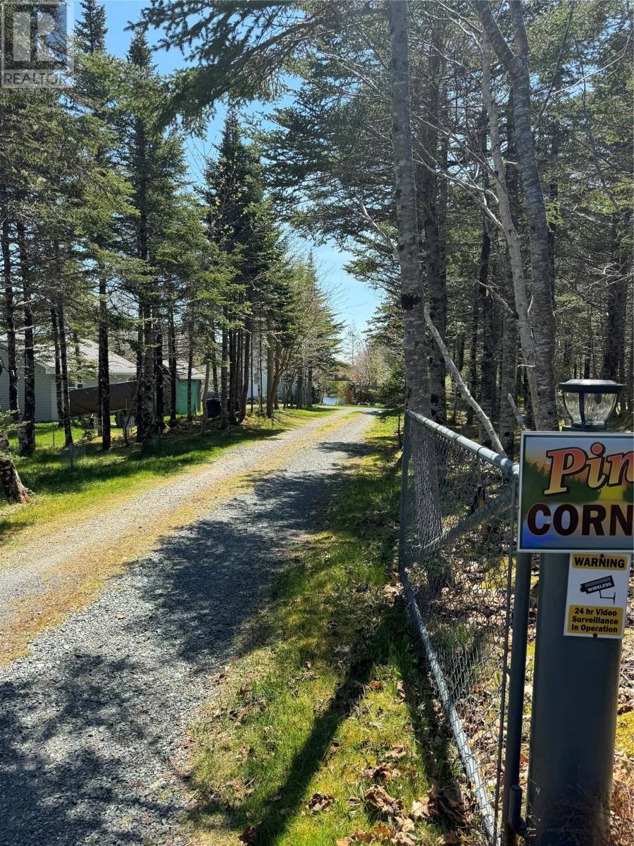 67 Ryans Pond, Brigus Junction, Newfoundland & Labrador  A0B 1G0 - Photo 38 - 1295536