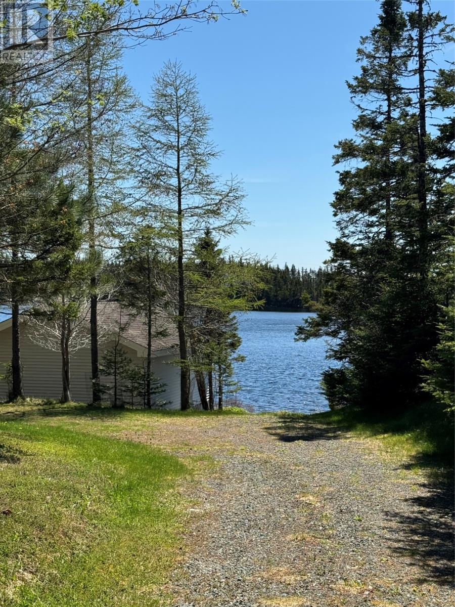 67 Ryans Pond, Brigus Junction, Newfoundland & Labrador  A0B 1G0 - Photo 4 - 1295536