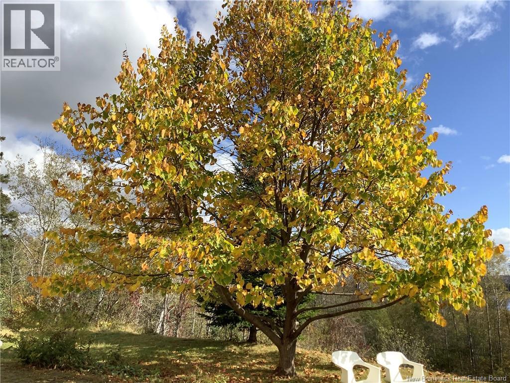2396 Centrale Street, St-Hilaire, New Brunswick  E3V 4W1 - Photo 13 - NB135484