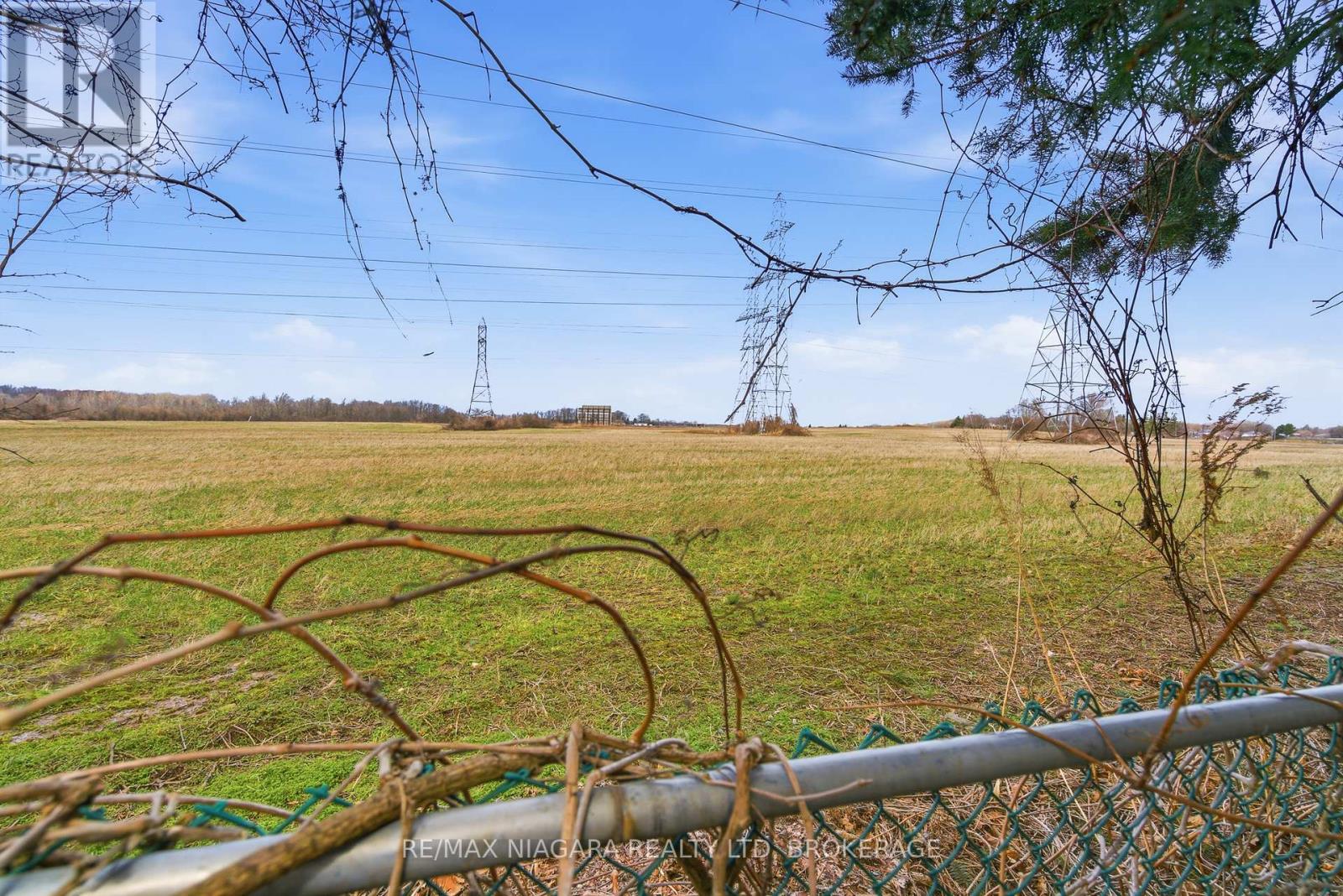 7865 Bishop Avenue, Niagara Falls, Ontario  L2H 3C6 - Photo 37 - X12918948