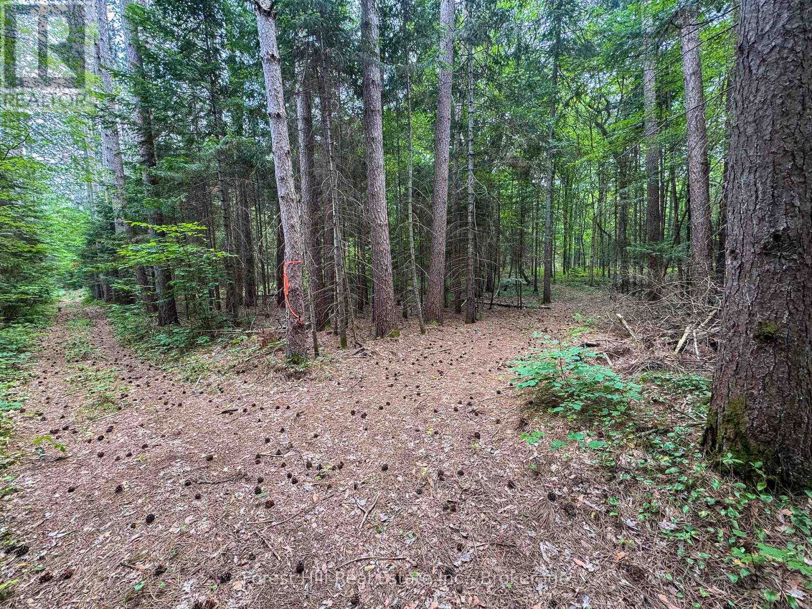 1130 Chetwynd Road, Armour, Ontario P0A 1C0 - Photo 21 - X12918826