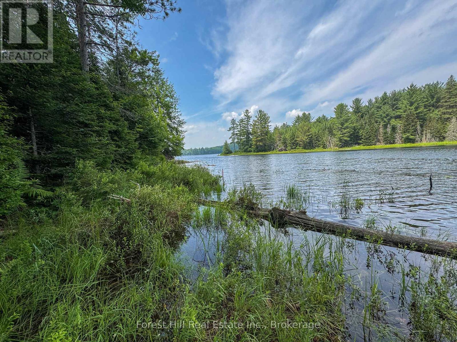 1130 Chetwynd Road, Armour, Ontario P0A 1C0 - Photo 23 - X12918826