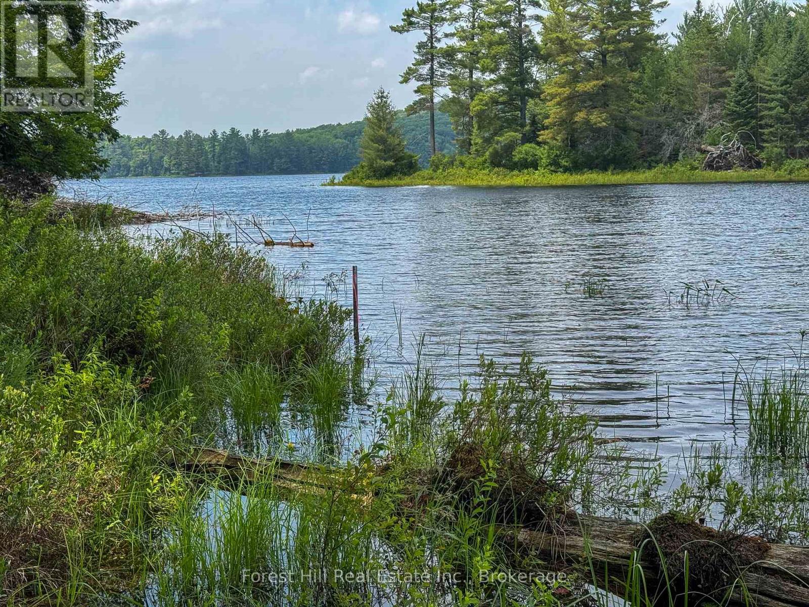 1130 Chetwynd Road, Armour, Ontario P0A 1C0 - Photo 24 - X12918826