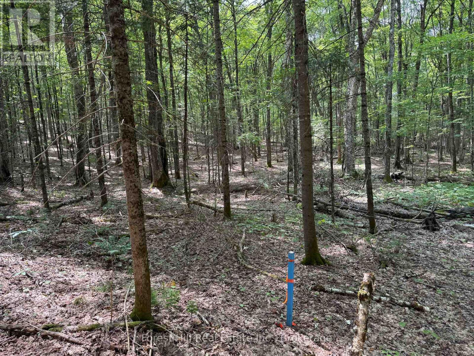 1130 Chetwynd Road, Armour, Ontario P0A 1C0 - Photo 27 - X12918826