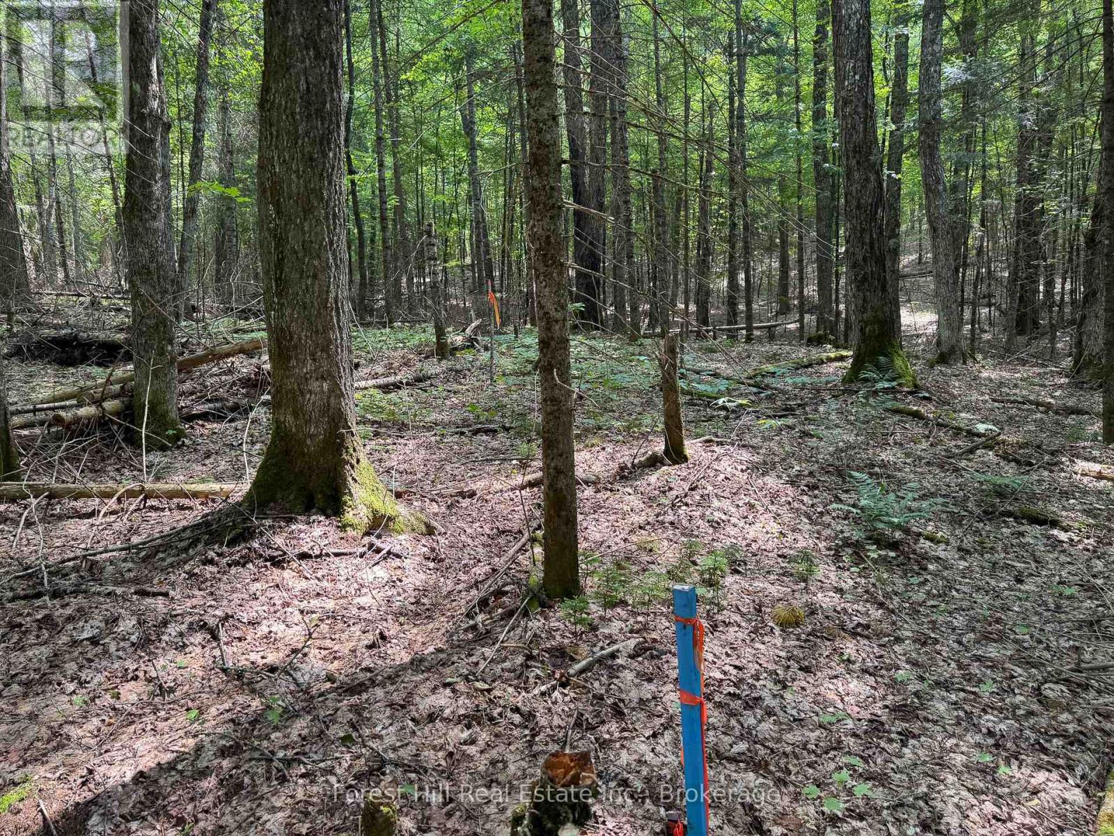 1130 Chetwynd Road, Armour, Ontario P0A 1C0 - Photo 28 - X12918826