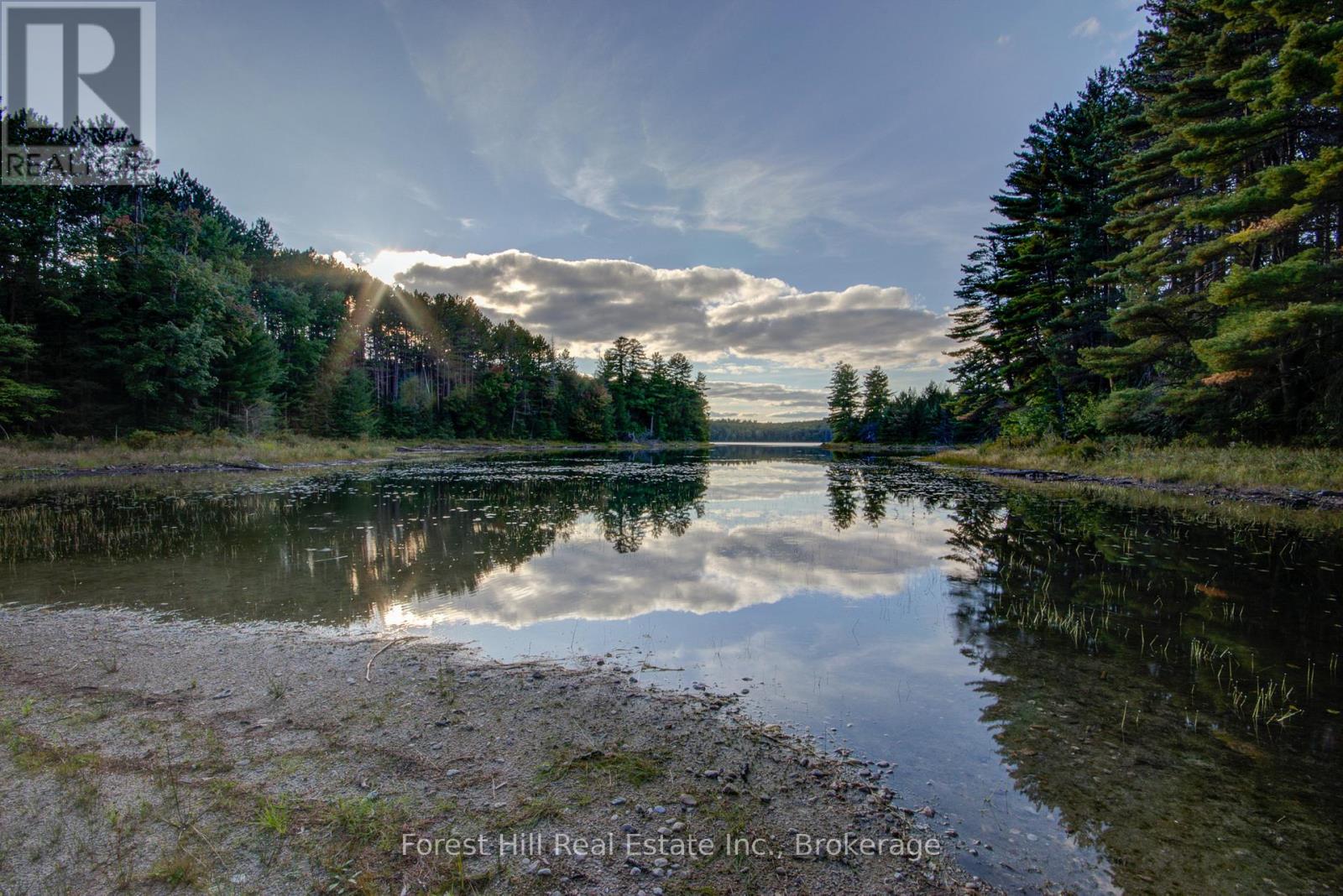 1130 Chetwynd Road, Armour, Ontario P0A 1C0 - Photo 8 - X12918826