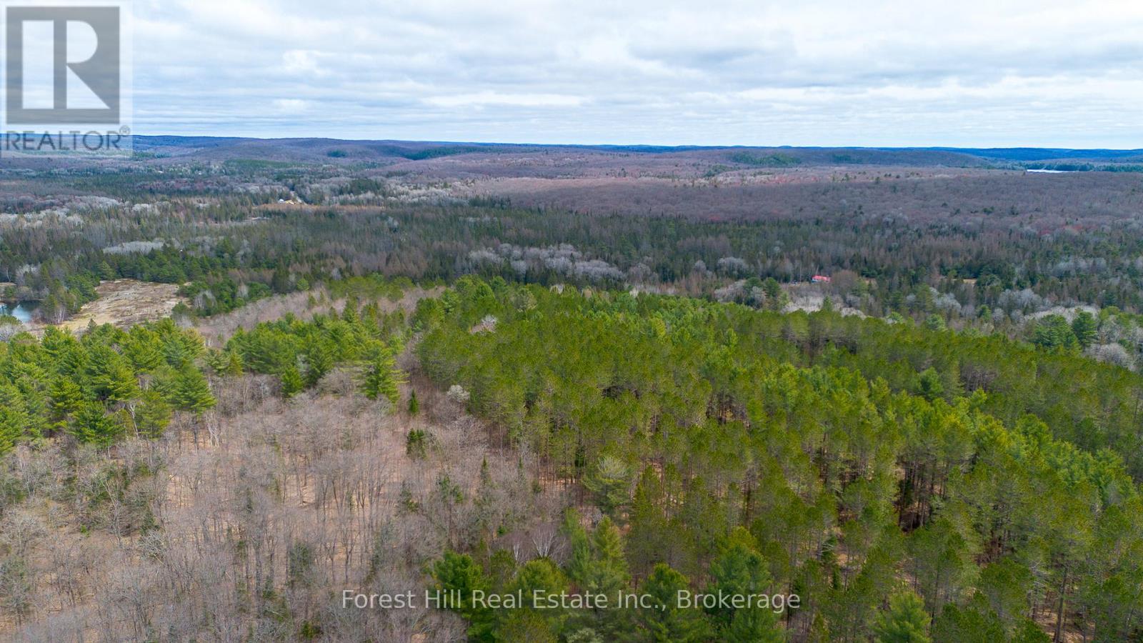 1160 Chetwynd Road S, Armour, Ontario P0A 1C0 - Photo 12 - X12918834