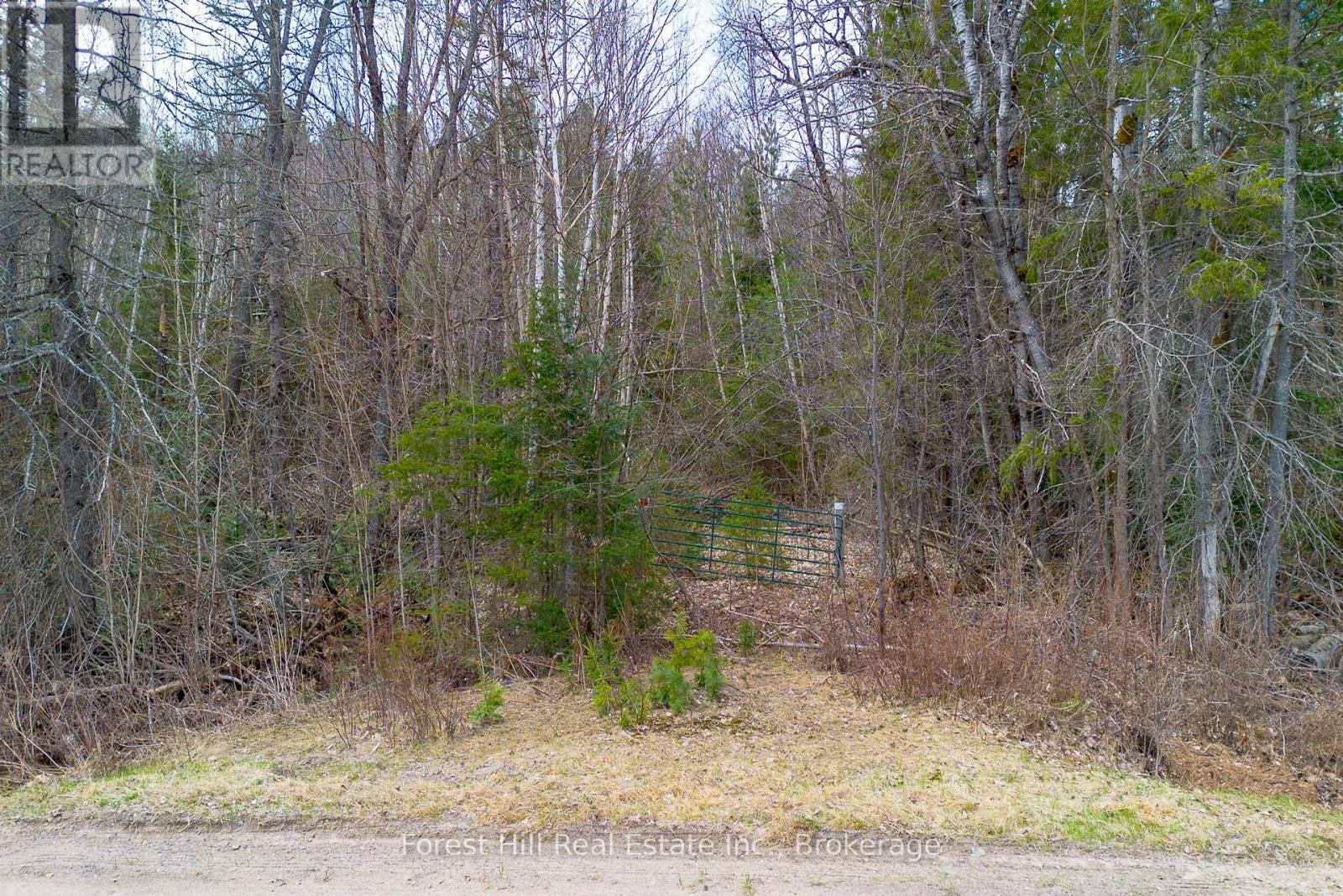 1160 Chetwynd Road S, Armour, Ontario P0A 1C0 - Photo 2 - X12918834