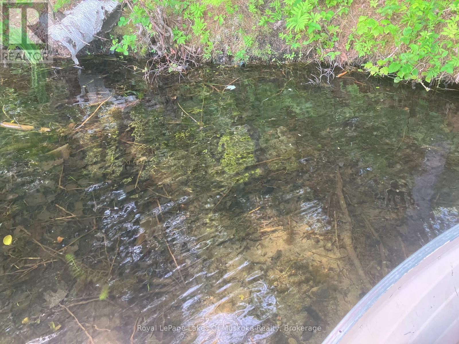 Pt Lts H&i Island 12sr Island, Gravenhurst, Ontario P0E 1G0 - Photo 13 - X12918844