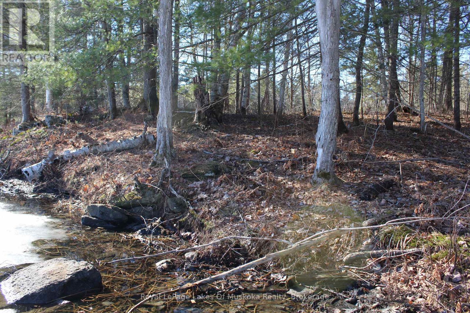 Pt Lts H&i Island 12sr Island, Gravenhurst, Ontario P0E 1G0 - Photo 4 - X12918844