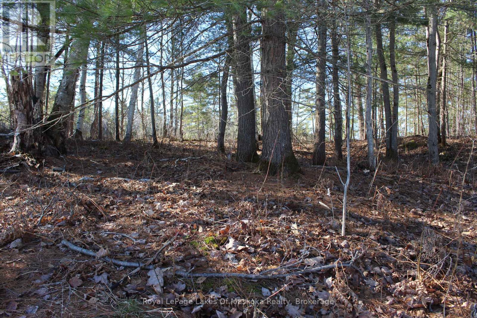 Pt Lts H&i Island 12sr Island, Gravenhurst, Ontario P0E 1G0 - Photo 6 - X12918844