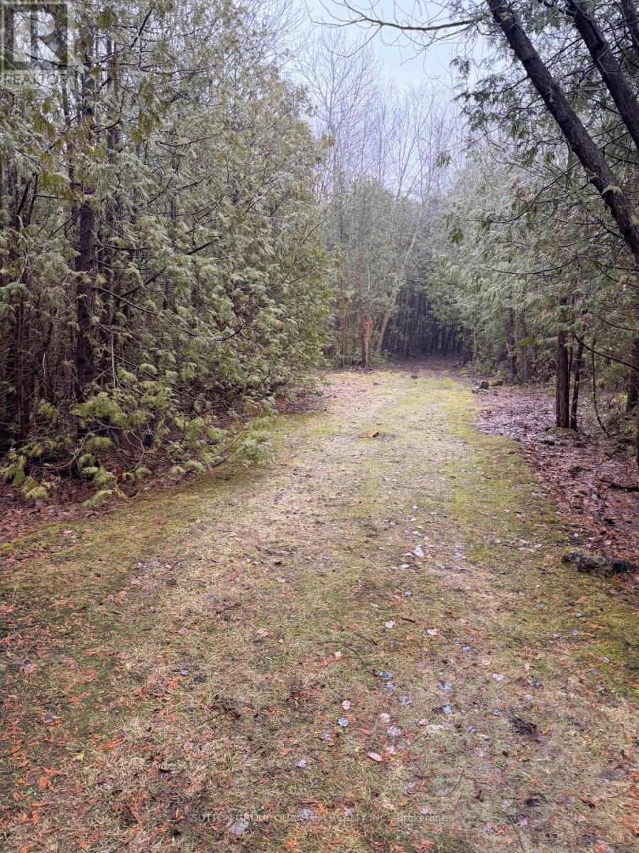 506 11th Concession Road E, Hamilton, Ontario  L8B 1J1 - Photo 43 - X12915282