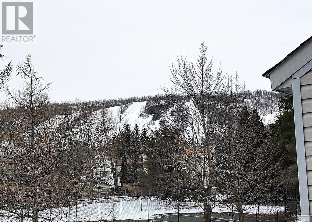 20 - 162 Settlers Way, Blue Mountains, Ontario  L9Y 3Z2 - Photo 35 - X12918592