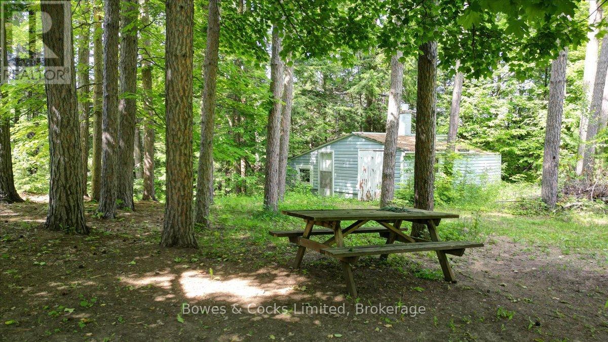 49 Mcfadden Road, North Kawartha, Ontario  K0L 1A0 - Photo 21 - X12919138