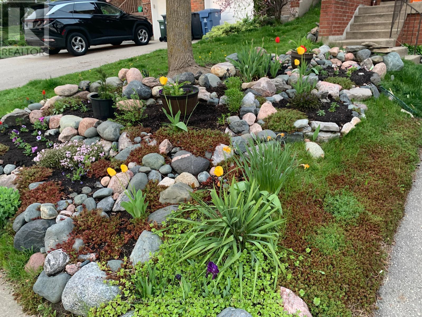 153 Dovercliffe Road, Guelph, Ontario N1G 3A5 - Photo 3 - X12919186