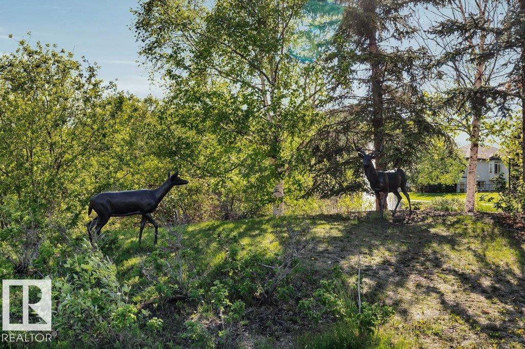 1314 George Cl Nw, Edmonton, Alberta  T5T 6S2 - Photo 42 - E4477042