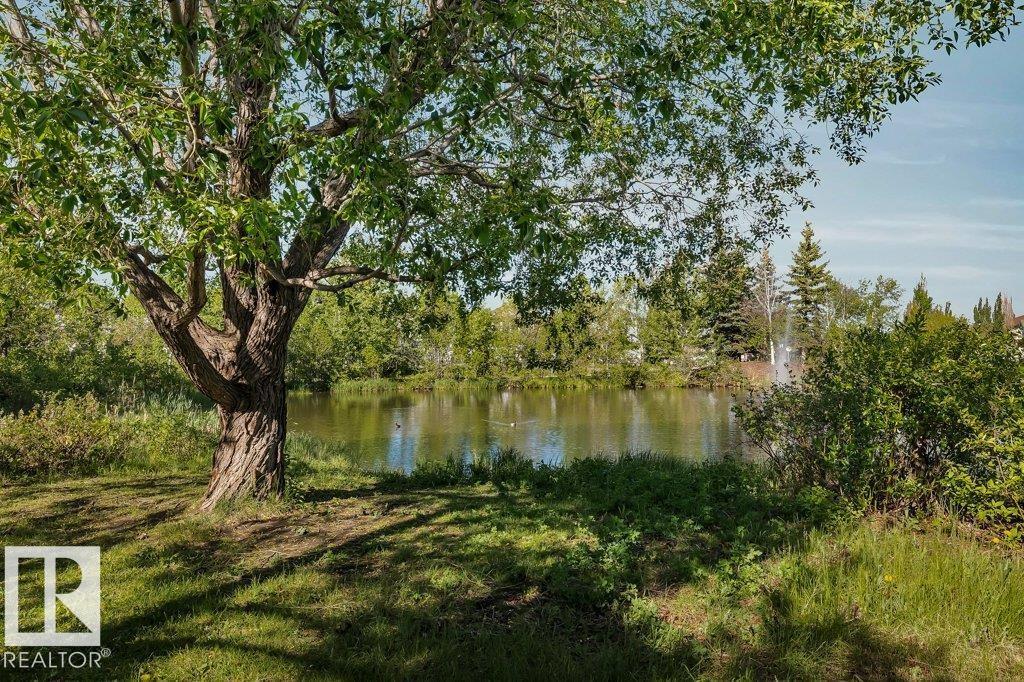 1314 George Cl Nw, Edmonton, Alberta  T5T 6S2 - Photo 49 - E4477042