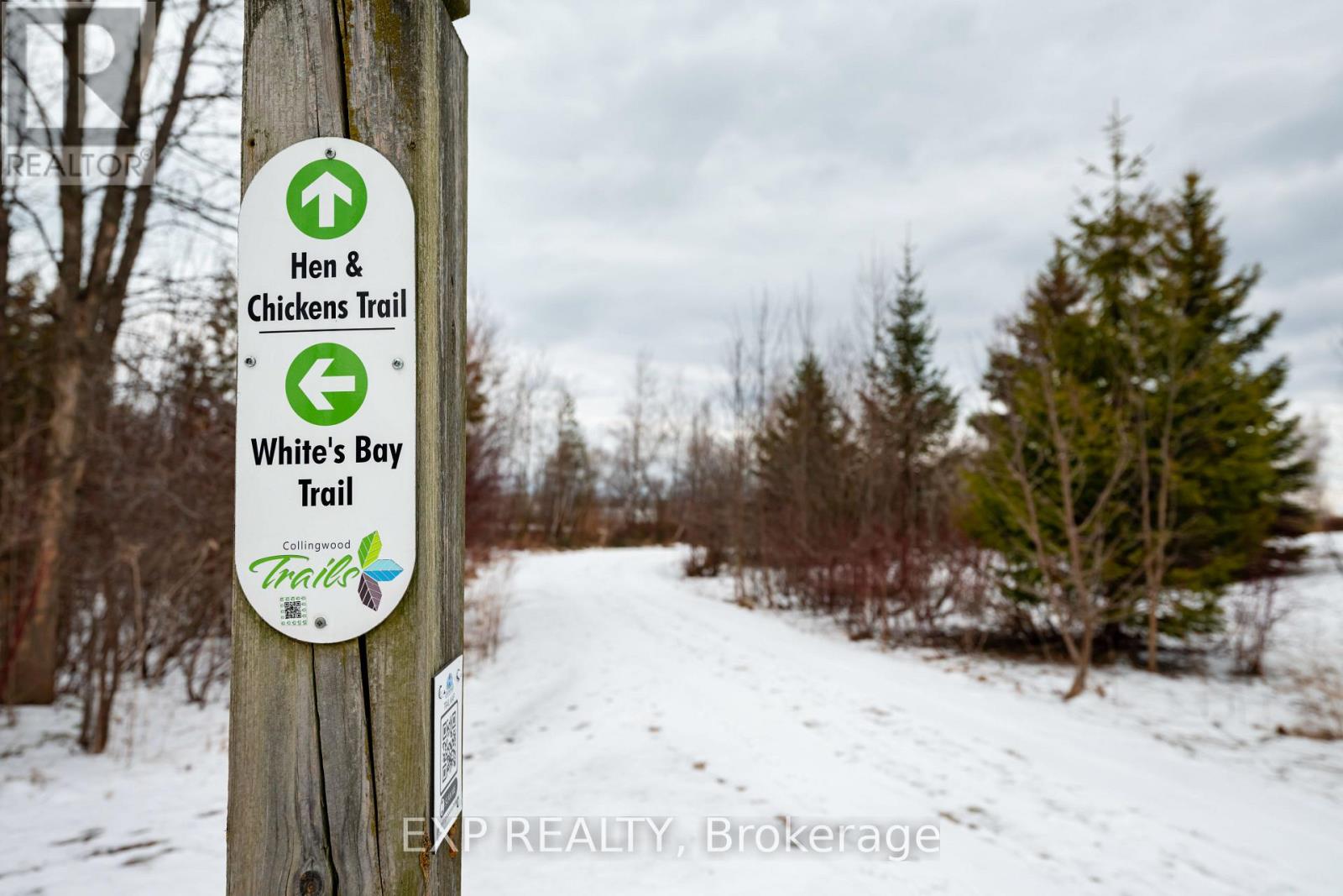 22 Cranberry Surf, Collingwood, Ontario  L9Y 5C4 - Photo 42 - S12919112