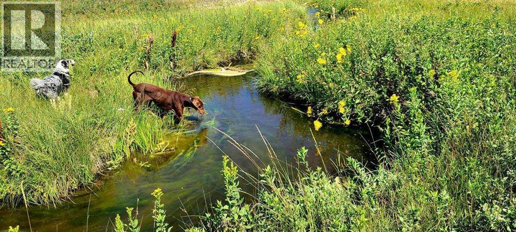 241054 Range Road 260, Rural Wheatland County, Alberta  T1P 0Y6 - Photo 30 - A2226490