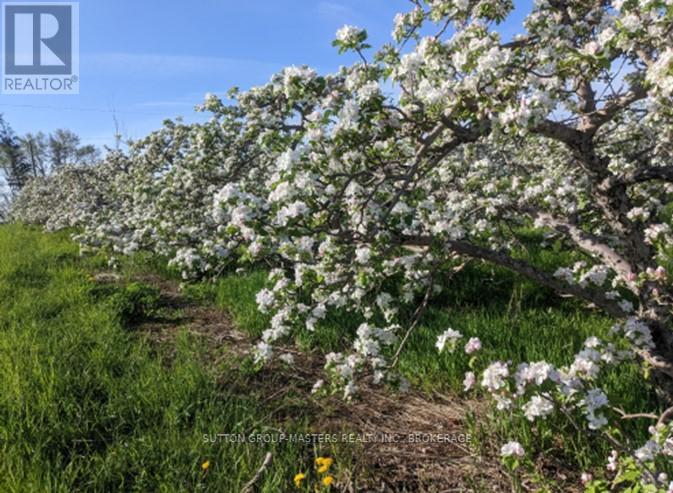 224 Bayshore Road, Greater Napanee, Ontario  K0H 1G0 - Photo 10 - X12657688