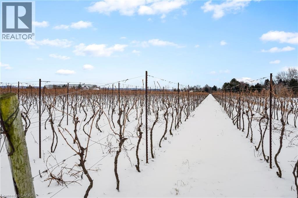 1074 Niagara Stone Road, Niagara-On-The-Lake, Ontario  L0S 1J0 - Photo 13 - 40814998