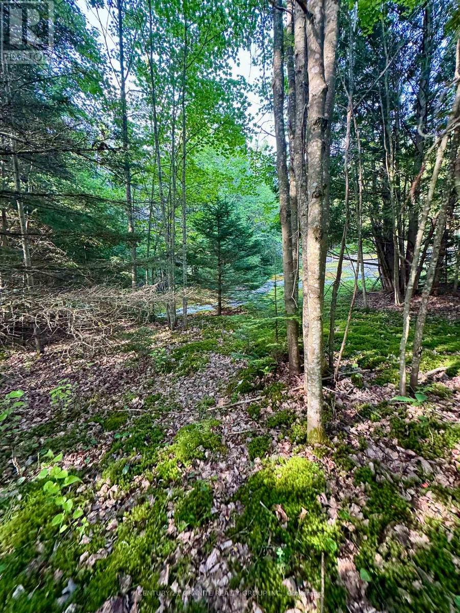 5280 Boulter Road, Carlow/mayo, Ontario  K0L 1G0 - Photo 10 - X12919402