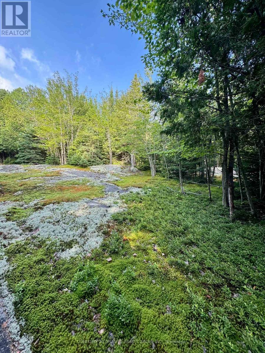 5280 Boulter Road, Carlow/mayo, Ontario  K0L 1G0 - Photo 12 - X12919402