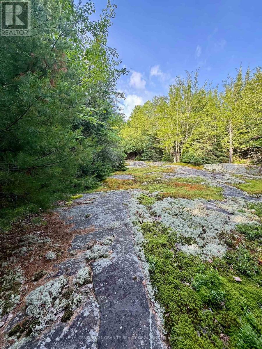 5280 Boulter Road, Carlow/mayo, Ontario  K0L 1G0 - Photo 13 - X12919402